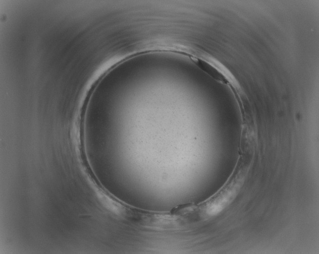 X0000051251144200506241540