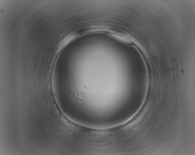 X0000051251145200506241540