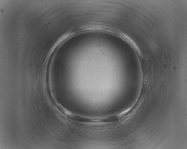 X0000051251146200506241540