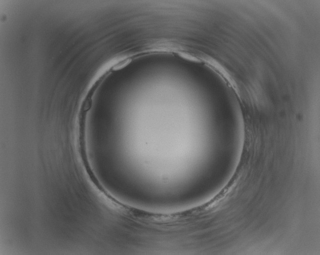 X0000051251147200506241540