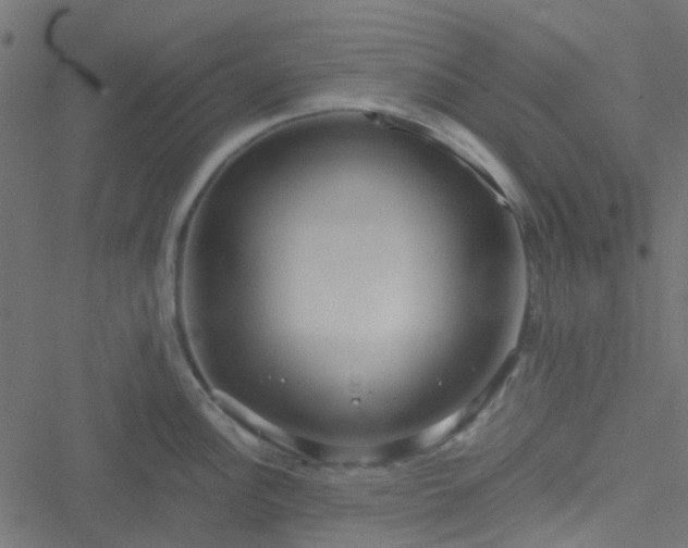 X0000051251148200506241540