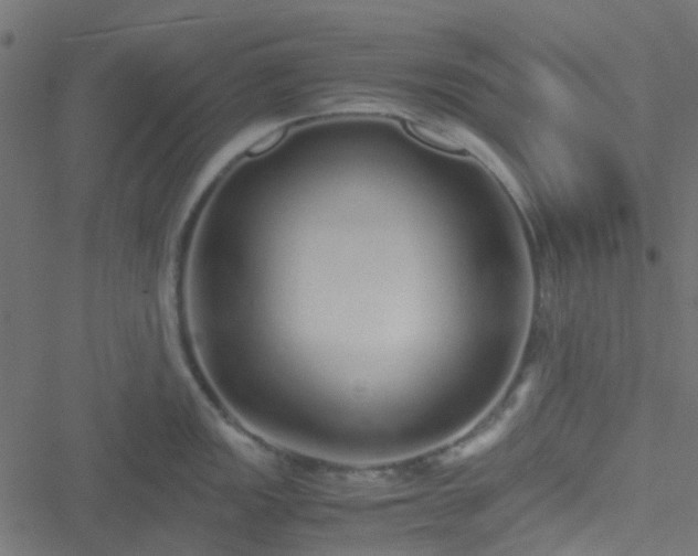 X0000051251149200506241540