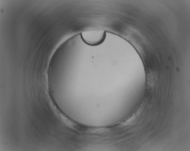 X0000051251150200506241540