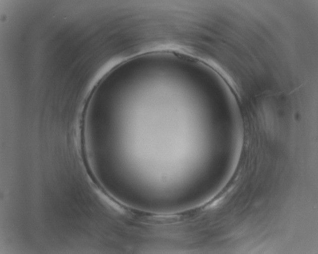 X0000051251151200506241540