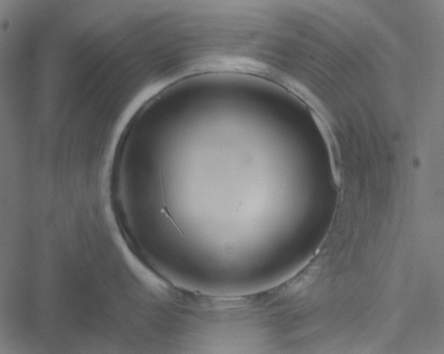 X0000051251152200506241540