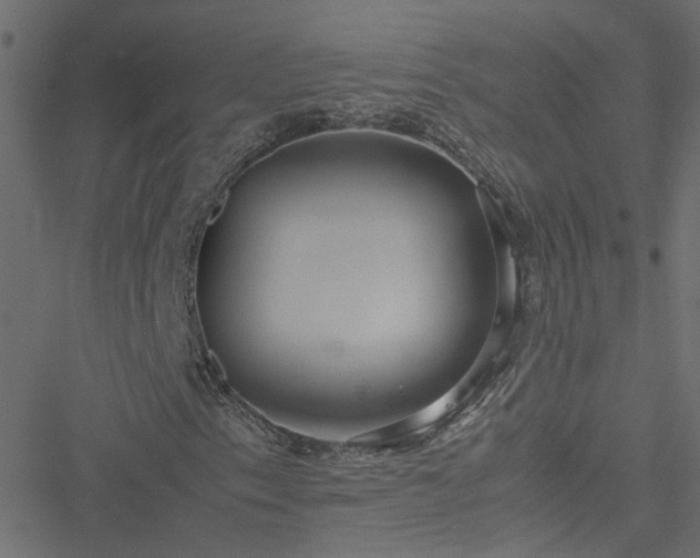 X0000051251153200506241539