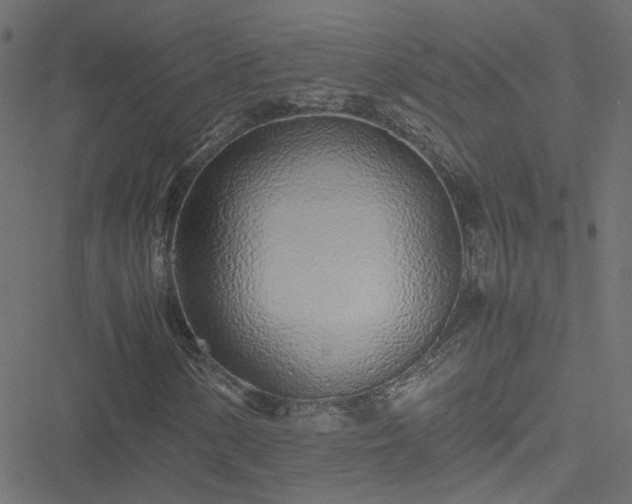 X0000051251154200506241539