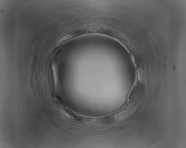 X0000051251155200506241539