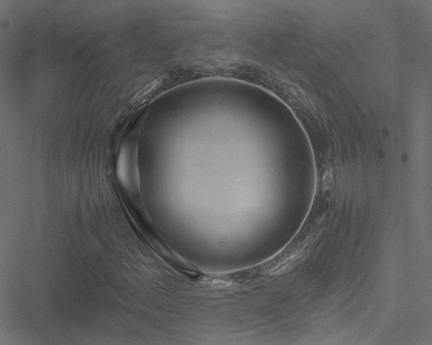 X0000051251156200506241539