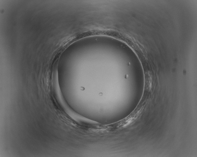 X0000051251157200506241539