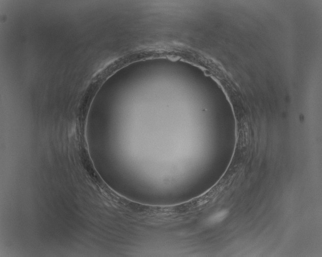 X0000051251158200506241539