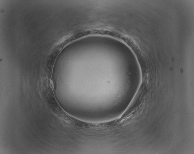 X0000051251159200506241539