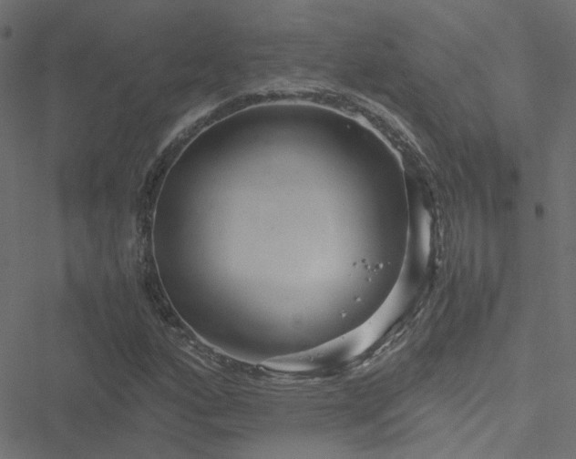 X0000051251160200506241539