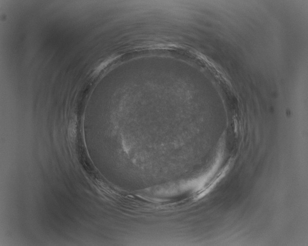 X0000051251161200506241539