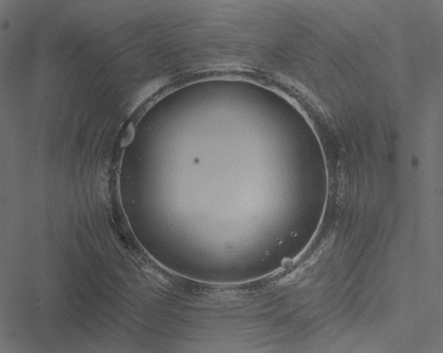 X0000051251162200506241539