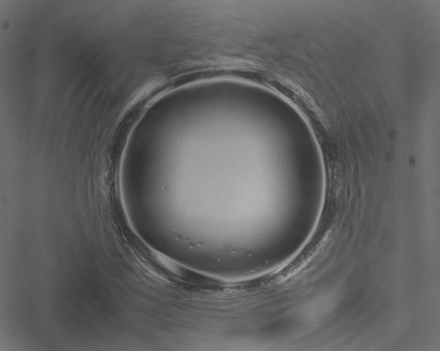 X0000051251163200506241539