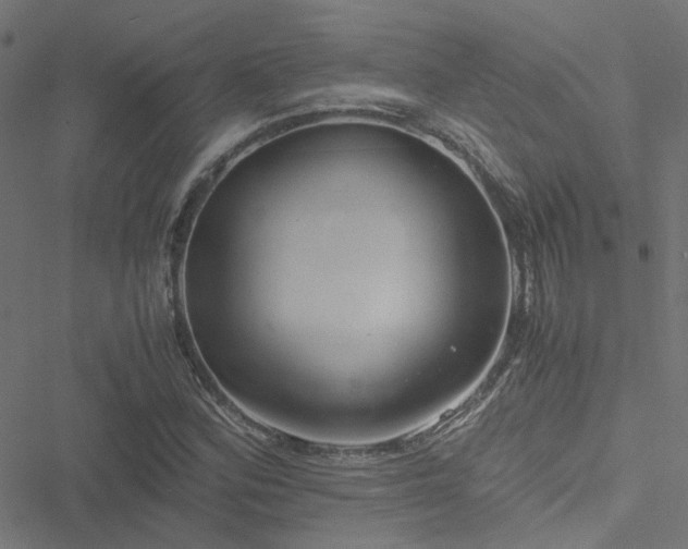 X0000051251164200506241539