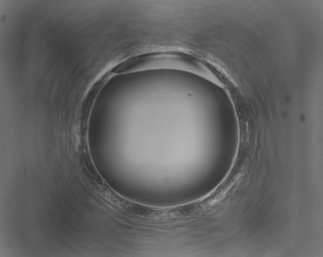 X0000051251165200506241539