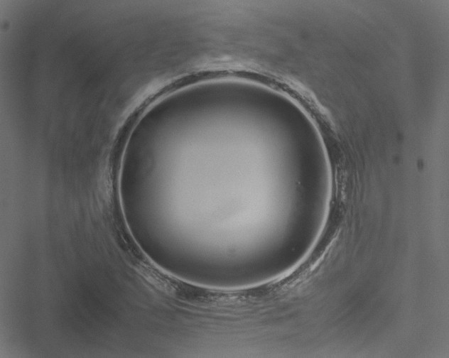 X0000051251167200506241539