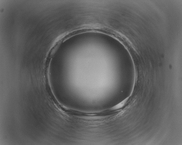 X0000051251168200506241539