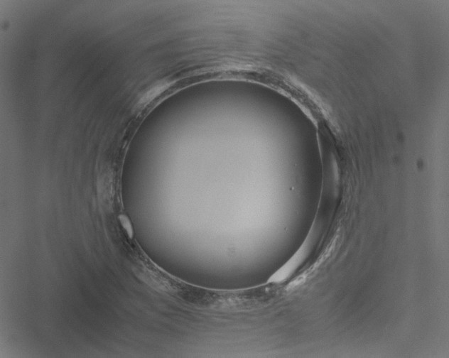 X0000051251169200506241539