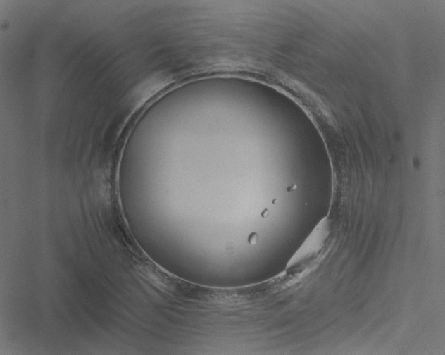 X0000051251170200506241539