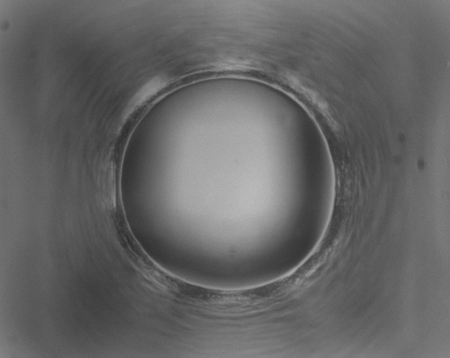 X0000051251171200506241539