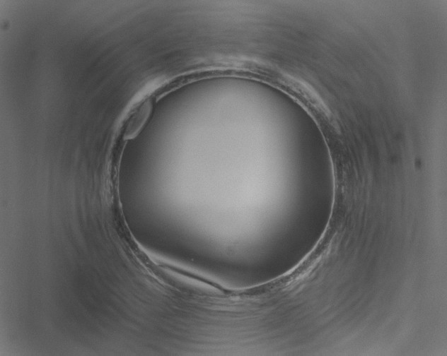 X0000051251172200506241539