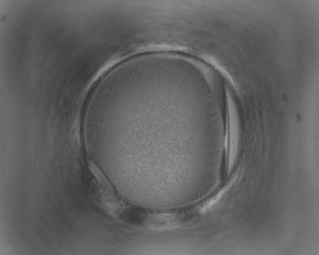 X0000051251173200506241539