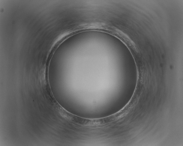 X0000051251174200506241539