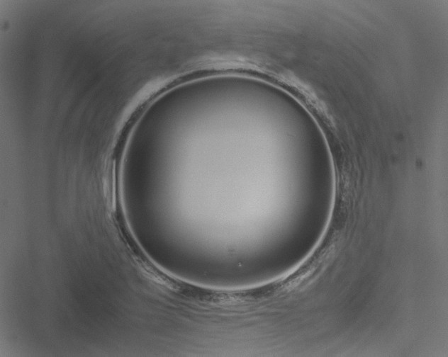 X0000051251175200506241539