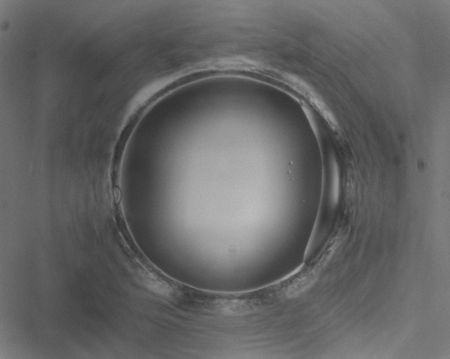 X0000051251176200506241539