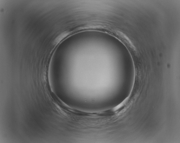 X0000051251177200506241539