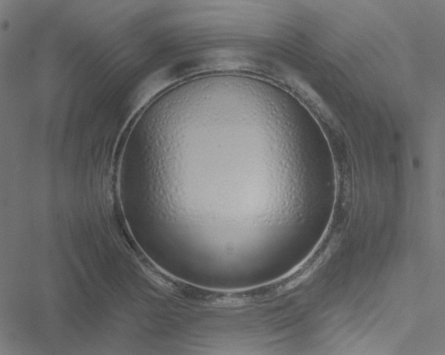 X0000051251178200506241539