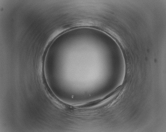 X0000051251179200506241539