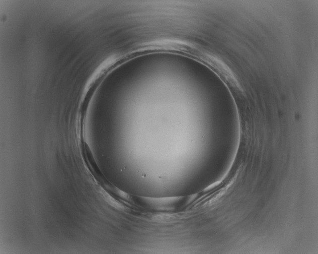 X0000051251180200506241539