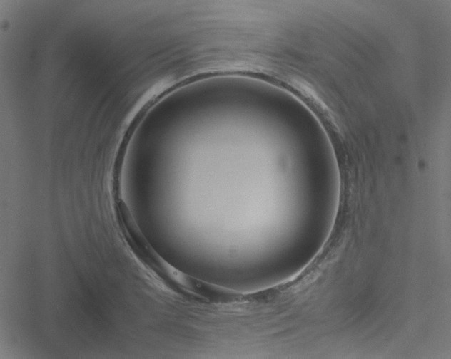 X0000051251181200506241539