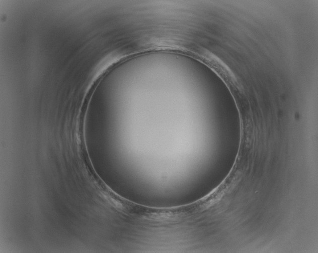 X0000051251182200506241539