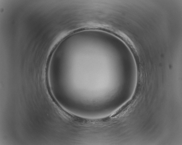 X0000051251183200506241539