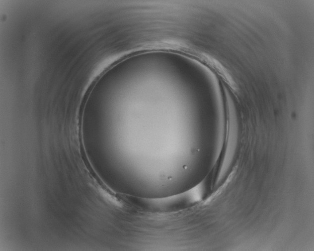 X0000051251184200506241539