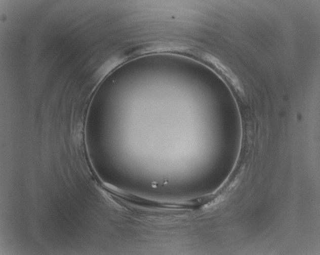 X0000051251185200506241539