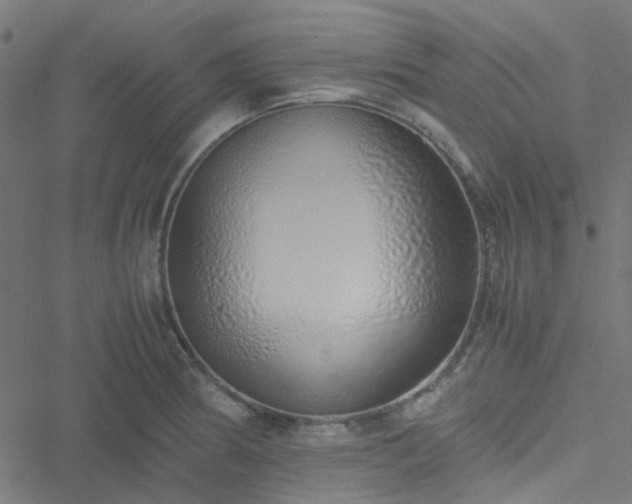 X0000051251186200506241539