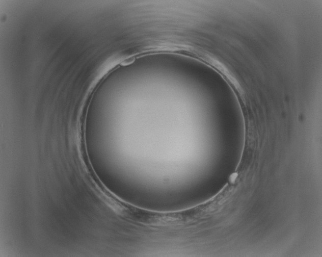 X0000051251187200506241539