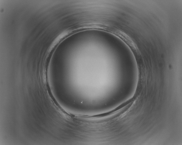 X0000051251188200506241539