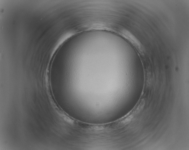 X0000051251190200506241539