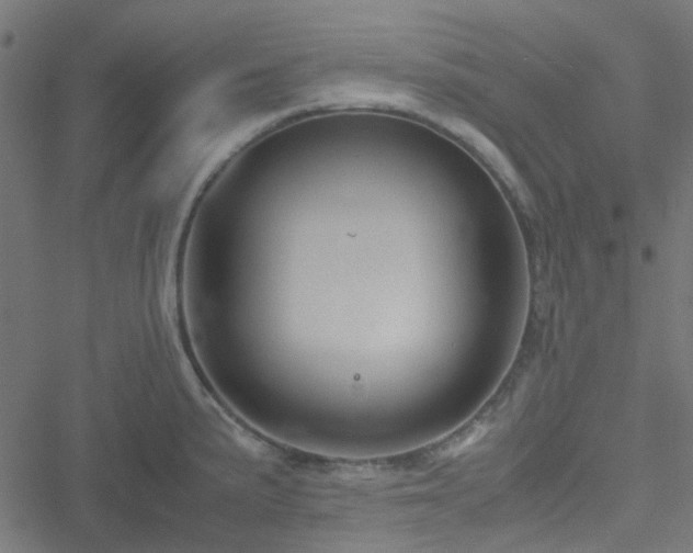 X0000051251191200506241539