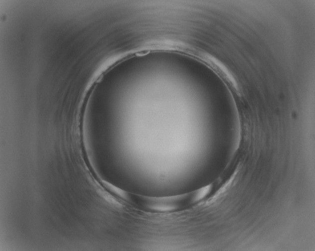 X0000051251192200506241539