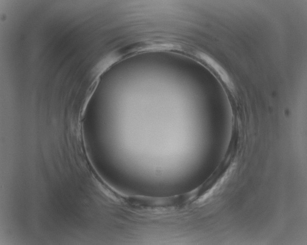 X0000051251193200506241539