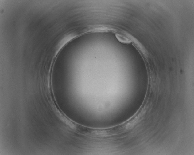 X0000051251194200506241539