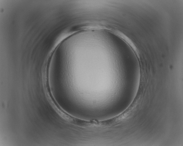 X0000051251195200506241539